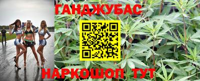 гидра Пушкино