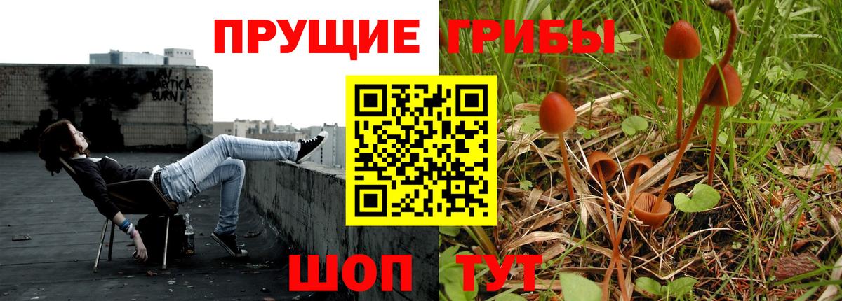 Псилоцибиновые грибы Cubensis Среднеуральск